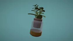 Succulent that lives on my desk