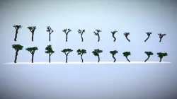 Tall Large Leaf Jungle Tree-Pack