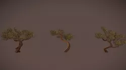 Trees
