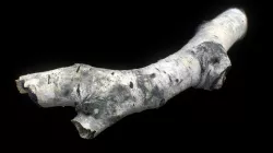 Wood Stick 10