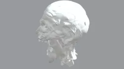 Zombie Head
