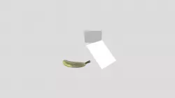 banana photo mesh.