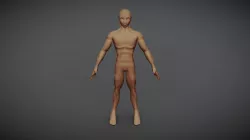 base mesh male human