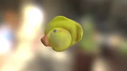 Dack objectmode