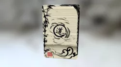 DAO