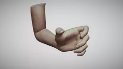Female Arm Pose 12