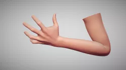 Female Arm Pose 13
