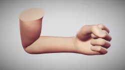 Female Arm Pose 14