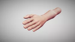 Female Arm Pose 15