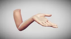 Female Arm Pose 17