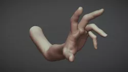 Female Arm Pose 25