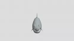 First shark