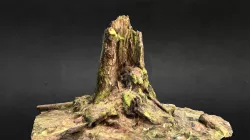 FOREST STUMP