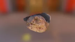 Fósil concha