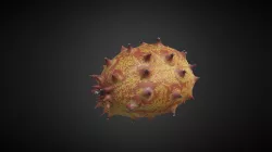 Kiwano Melon