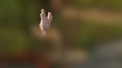 Pollo