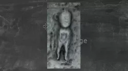 Redwood - TN001-001004 - Sheela-na-Gig