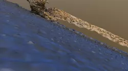 Skeleton Legs