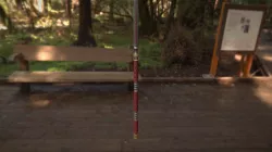 Spear