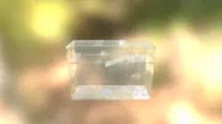 Turtle tank model