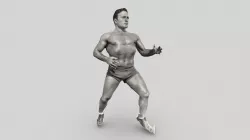 Unidentified Boxer - PIFuHD