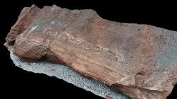 Watchet Faults & Sandstone Dykes
