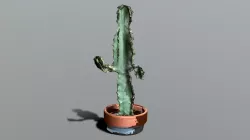 Waving Cactus
