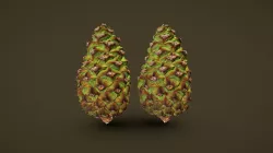 Young pine cone - Map baking vs. High poly