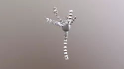 3D Neuron Model