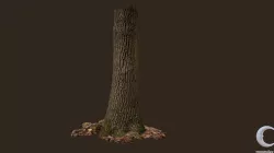 3D Scanned Tree trunk 02