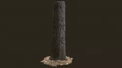 3D scanned Tree trunk 07
