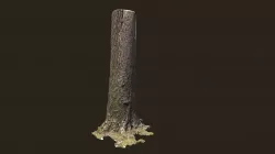 3D scanned Tree trunk 08