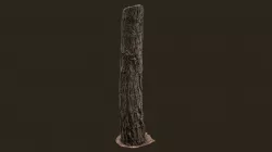 3D scanned Tree trunk 09