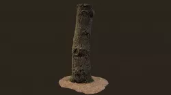 3D scanned Tree trunk 10