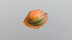 Acorn squash