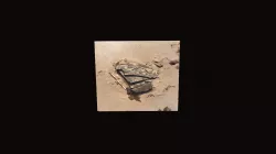 Amazon Shipwreck Trailboard Model
