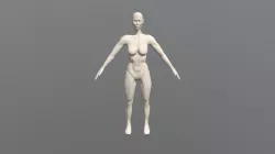 Anatomy Sculpt