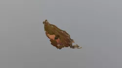 Bad Apple