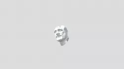 Bearded Man 2
