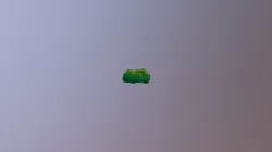 Bush
