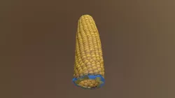 Corn