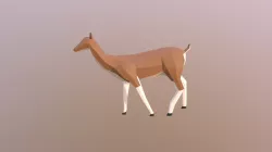 Doe