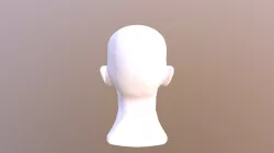 Face Study