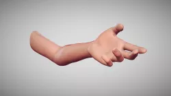 Female Arm Pose 18