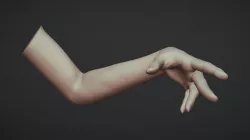 Female Arm Pose 19