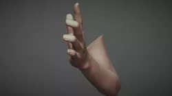 Female Arm Pose 21