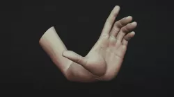 Female Arm Pose 24