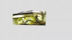 Fresh water aquarium