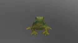 Grenouille