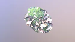 ground